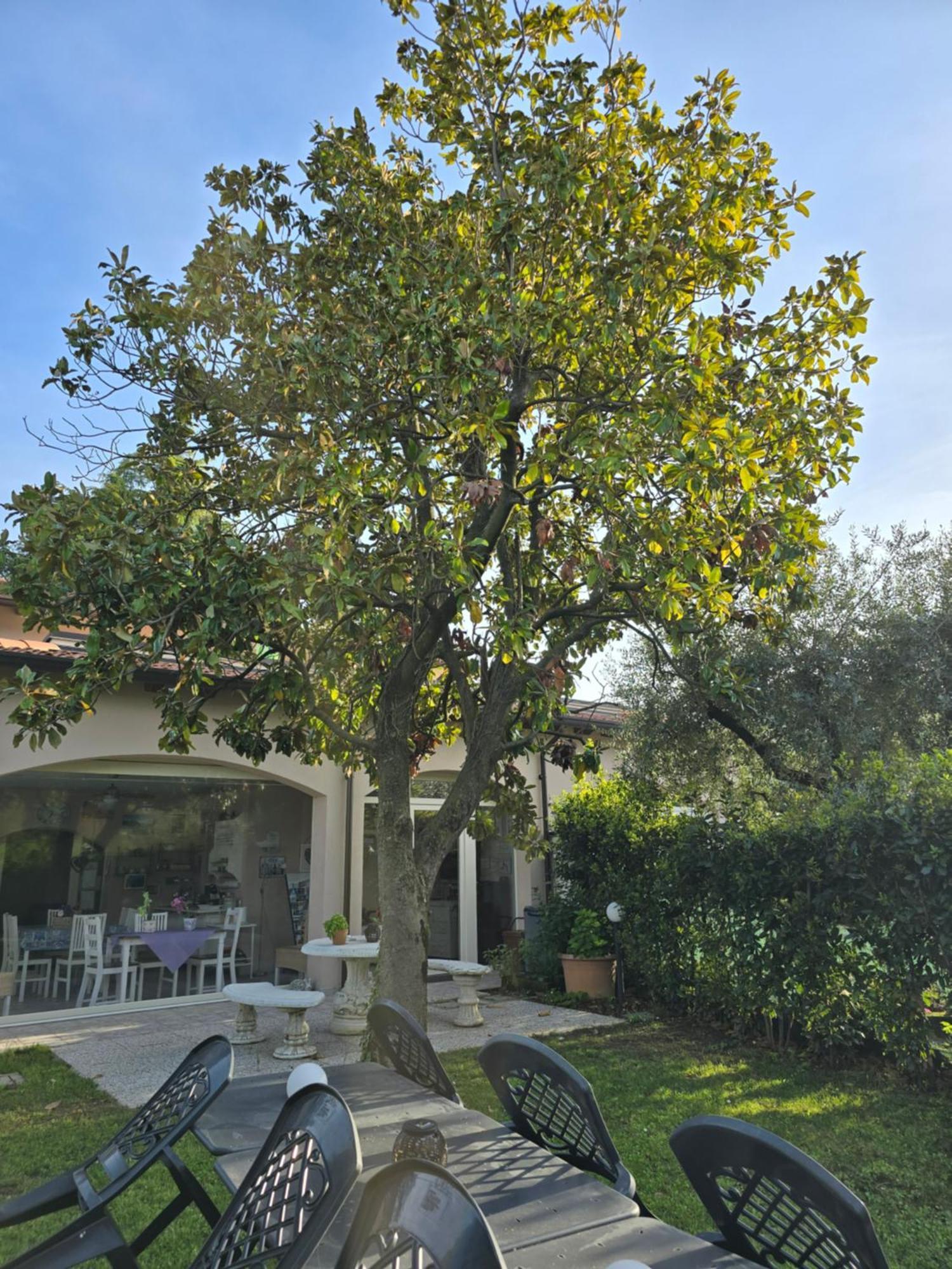 Villa Indipendente A Pochi Passi Dal Lago San Felice del Benaco Εξωτερικό φωτογραφία