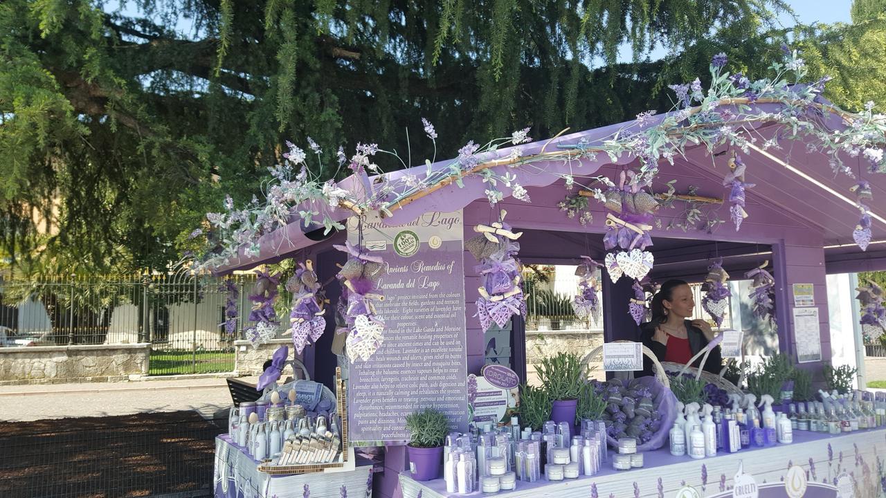 Villa Indipendente A Pochi Passi Dal Lago San Felice del Benaco Εξωτερικό φωτογραφία
